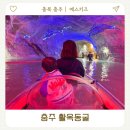 다움농장 | 충주 활옥동굴 카약 체험 입장료 할인정보 아이와 가볼만한 곳