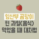 임산부 곰팡이 핀 과일(음식) 먹었을때 대처방법