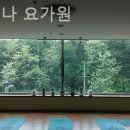 크리쉬나요가