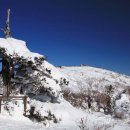 찬우물로 이미지