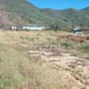 한천면사무소 이미지