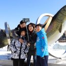 평창송어축제 이미지