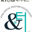하이메이트