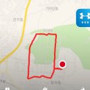 이재성복싱 이미지