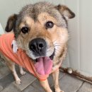 리버하우스 이미지