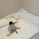 하늘품에영농조합법인 | [여행기록] 9개월 아기랑 제주도 #2