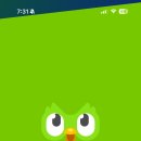 15초 따라 하기 왕초보 일본어 (1) | [일본어] 미미일본어(전화 일본어)와 듀오링고로 일본어 공부하기(+ 일본어 팟캐스트 추천까지!)