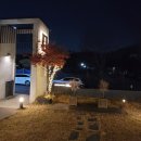 우연1972 이미지