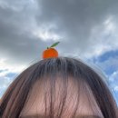 목포세탁소 | [일상] 위키드 꼭 보세요/가을가을/또 제주도