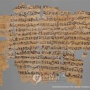 서울파피루스 이미지