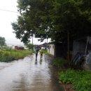 산울림농장 이미지