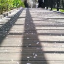 박쌤학원 이미지