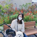 LG명가인테리어