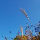 신평동1100 이미지