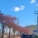 영덕읍사무소 이미지