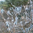 효선농장 이미지