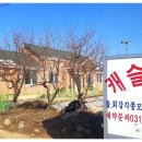 신호2리마을회관 이미지