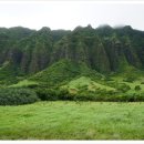 태고목장 이미지