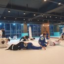 JOB주짓수클럽 이미지