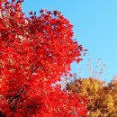 국제대로 이미지