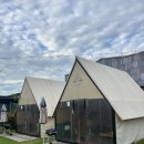 관산길 | 고기요기 안성점 평택 바베큐장 캠핑 느낌의 감성 숯불 찐 후기 강아지 캠핑가능