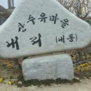 4월 2일 (일요일) 양평 산수유 축제 즐기기 이미지