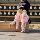 우리동네 뽑기방 | 신림 낭만스냅 이사전 마지막 기록 인형뽑기방 동네 추억 무료스냅