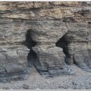 서천생태공원 이미지