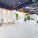 디자인율 이미지