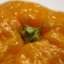 삼신목욕탕 이미지