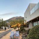 캠프해리 이미지