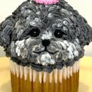 포퍼피(FOR PUPPY) 이미지