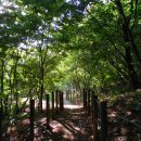 월산대군 이정태실 이미지