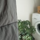 햇빛세탁 이미지