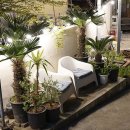 돌담집펜션 이미지