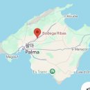 굿마트오천 | 6월 마요르카 신혼여행 코스 추천 | 한국인 1도 없는 현지 와이너리 투어 다녀온 후기🍷