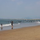 다대포해수욕장 이미지