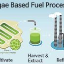 용성바이오 이미지