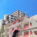 아리시장약국 네이버블로그