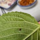 밀레니엄횟집 - 수영구 민락수변로 103 | 밀레니엄횟집