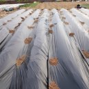 감치농장 이미지