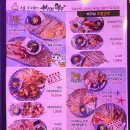 부라보맥주 이미지
