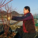 금원농장 이미지