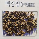 백강한의원 이미지