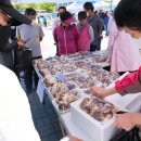 상촌 다목적광장 이미지