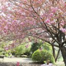 회수동-6 이미지