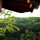 사기막골공원 이미지