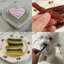 페트코코 이미지