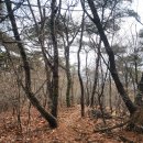 고산터널 등산로 이미지