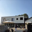 샤를몽탁 | ​[대전/대청호] 호수 뷰와 귀여운 고양이가 있는 힐링 카페, '샤를몽탁' 방문기 ✨